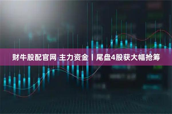 财牛股配官网 主力资金丨尾盘4股获大幅抢筹
