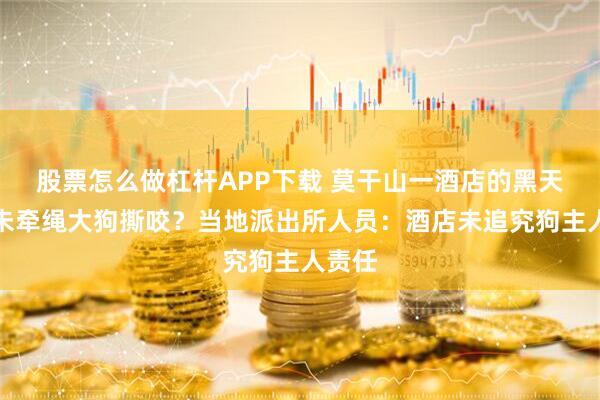 股票怎么做杠杆APP下载 莫干山一酒店的黑天鹅被未牵绳大狗撕咬?当地派出所人员:酒店未追究狗主人责任