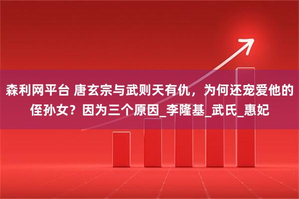 森利网平台 唐玄宗与武则天有仇，为何还宠爱他的侄孙女？因为三个原因_李隆基_武氏_惠妃