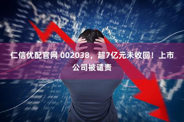 仁信优配官网 002038，超7亿元未收回！上市公司被谴责